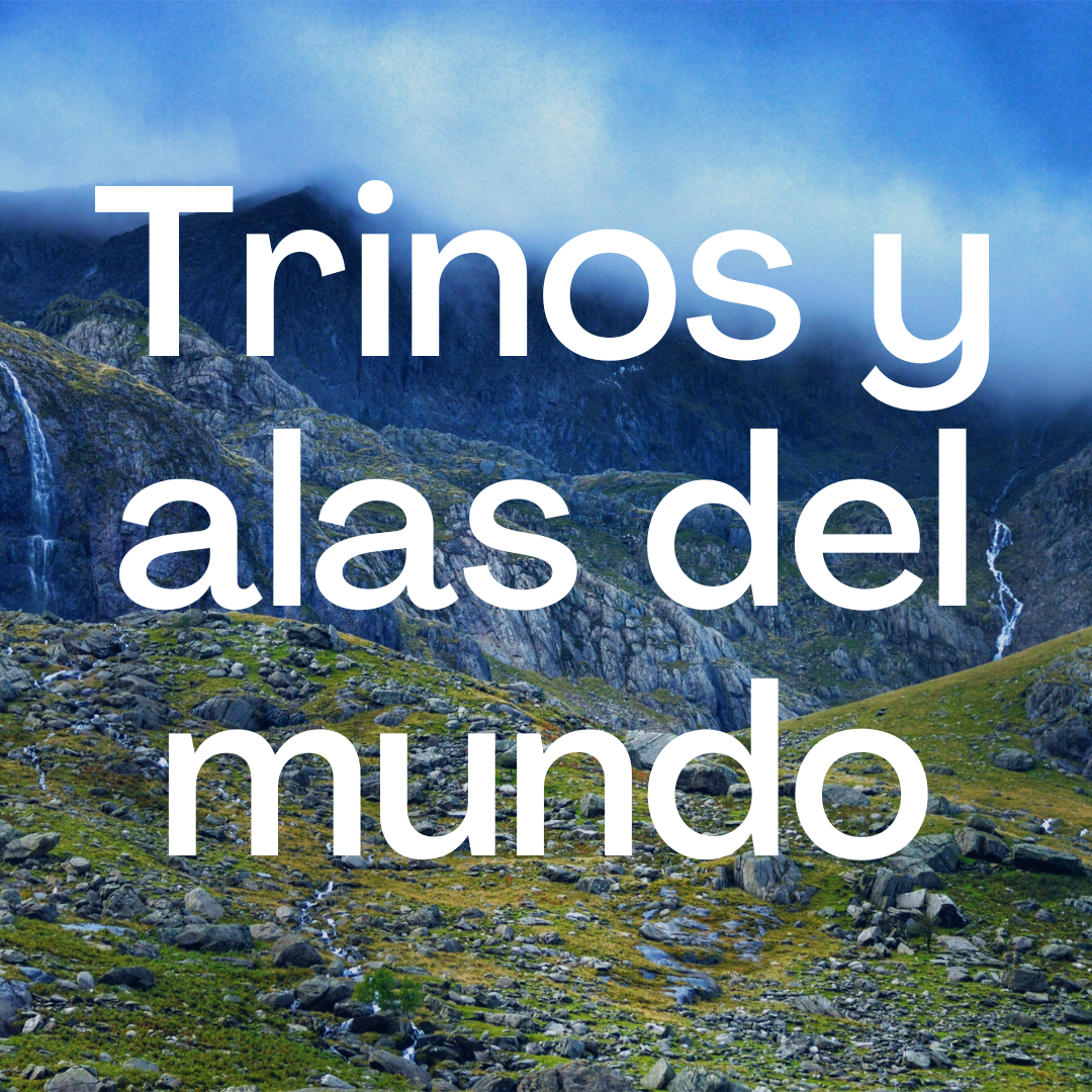 Trinos y alas del mundo